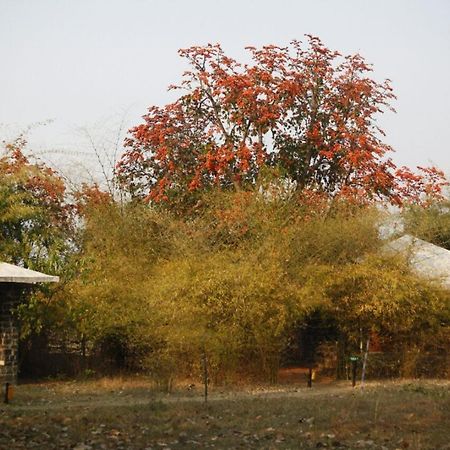 Отель Renest Bandhavgarh Meadows Tala  Экстерьер фото