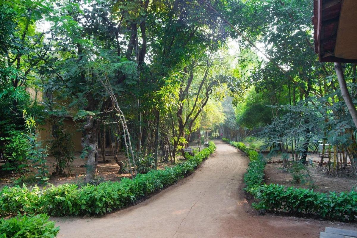 Отель Renest Bandhavgarh Meadows Tala  Экстерьер фото