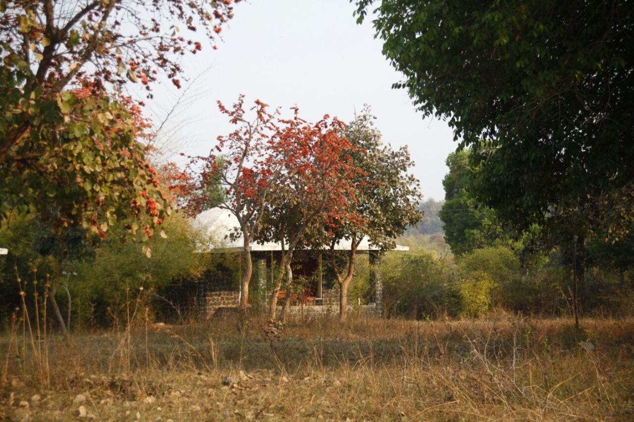 Отель Renest Bandhavgarh Meadows Tala  Экстерьер фото