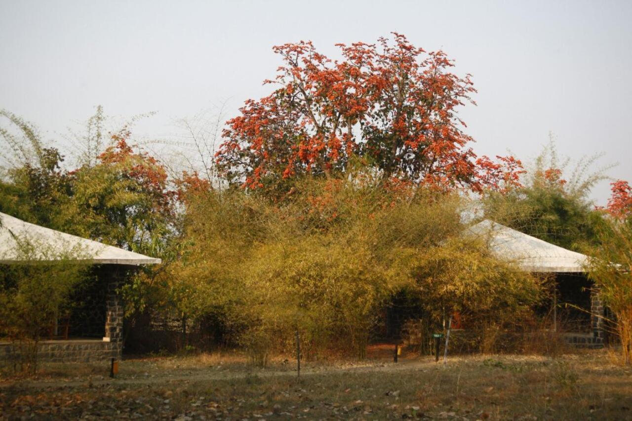 Отель Renest Bandhavgarh Meadows Tala  Экстерьер фото